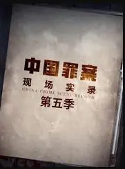 《罪案现场实录第五季》:真相迷雾,谁是幕后黑手?